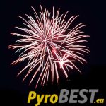 49 shots - DumBum MINI fan